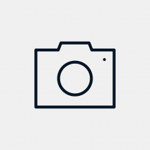 Front roof assembly (alpine)